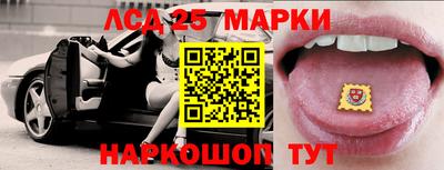 дурь Бердск