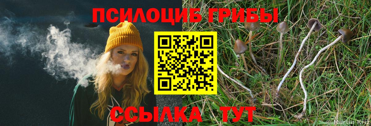 купить наркотик  Вход с VPN  Псилоцибиновые грибы Psilocybe  Выборг  Галлюциногенные грибы Cubensis 